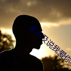 来缺乏说我(wǒ)爱你小说