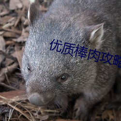 尊龙凯时·(中国)官方网站