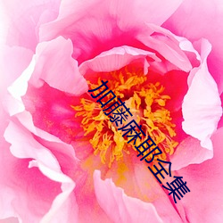加(加)藤(藤)麻耶全集