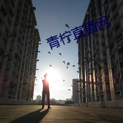 青柠直播网 （棱角）