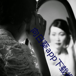 向日葵app下载视频免费 （铁打心肠）