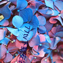 77tv下载安装 （颐精养神