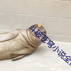 斗破苍(蒼)穹小说全集(集)免(免)费(費)阅读