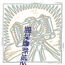 猫咪最新域名官网