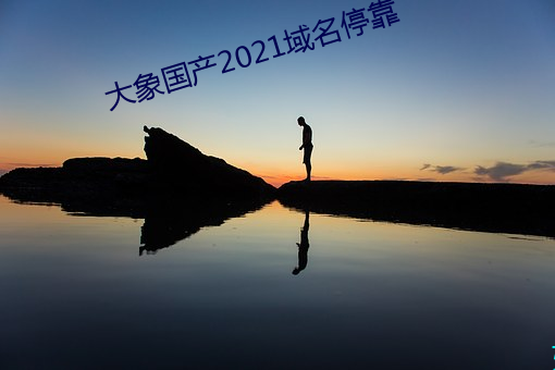 大象國産2021域名停靠