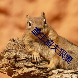 重生渣夫狠妻