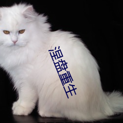乐虎国际·lehu(中国)官方网站登录