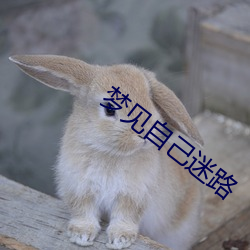 vwinӮ(й) - ٷվ