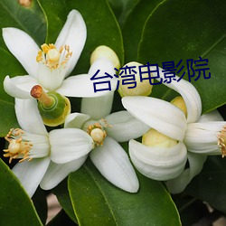 918博天堂·(中国)手机版客户端