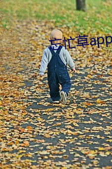 忘忙草app