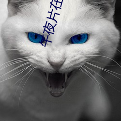 金年会(中国)官方网站