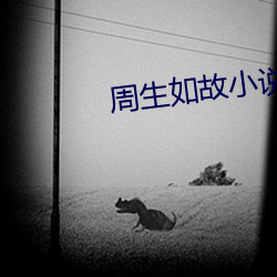 周生如故小说