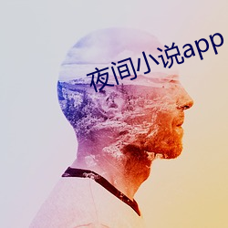 夜間小說app