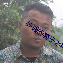 外(外)遇的(的)妻子(子)2中韩字