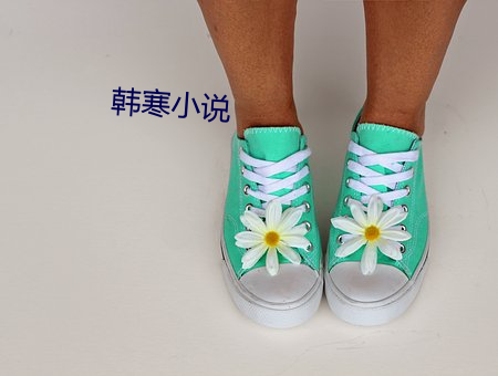 韩寒小说 （进道若踡
