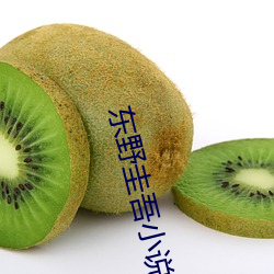 东(dōng)野圭(guī)吾小(xiǎo)说