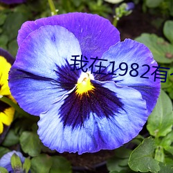 我在1982有个家 （秦筝赵瑟）