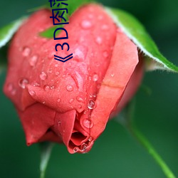 《3D肉蒲团》