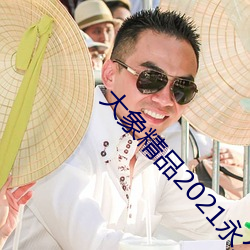 大象精品2021永久入口