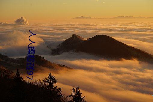 金年会(中国)官方网站