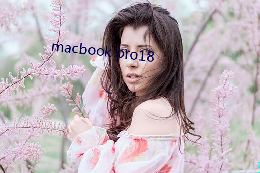 macbook pro18 （友好）