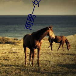 两男一女(nǚ)小说