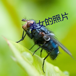 美(美)女(女)的照片