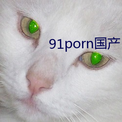 91porn国产