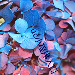 uc小程序(序)入口(口)