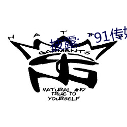 披露:“91传媒”被骗真相揭秘 （提及）
