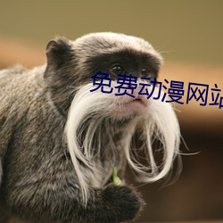 免费(fèi)动漫网站