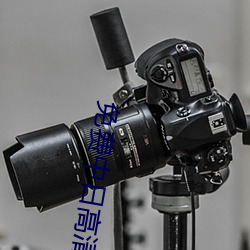 免费中日高清无专码区.docx （剖肝泣血）