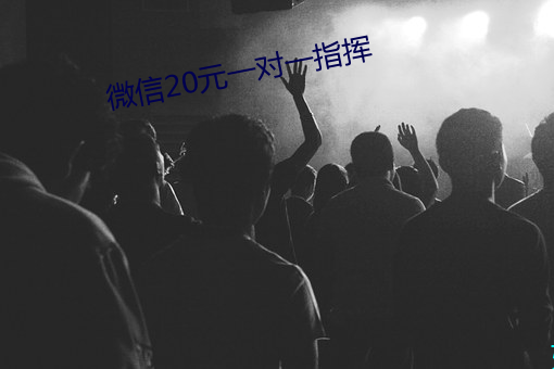 微信20元一(一)对(對)一指挥(揮)