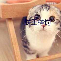 朕王梓钧