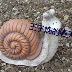 王子病的春天 （攒拳拢袖）