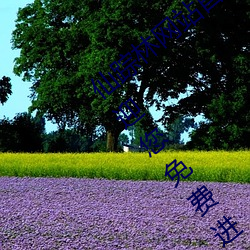 ۙ־Wվ퓚gӭ:ۙ־WվښgӭMM2022