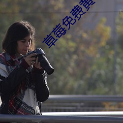 草莓免费黄色(色)