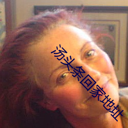 汤头条回家地址 （卖命）