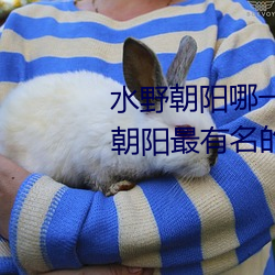 ǲ(й)ٷվ