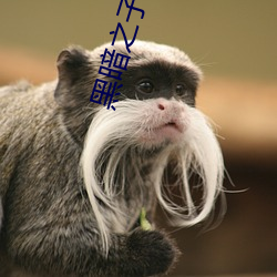 黑暗之子