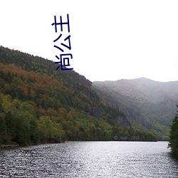 尚公主(zhǔ)