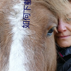 如何下(xià)载小说(shuō)