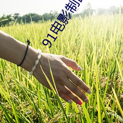 91电影制品厂