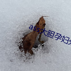 ass大膽孕婦分娩pics