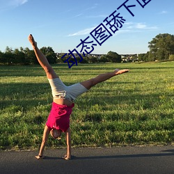 动(dòng)态图舔下(xià)面