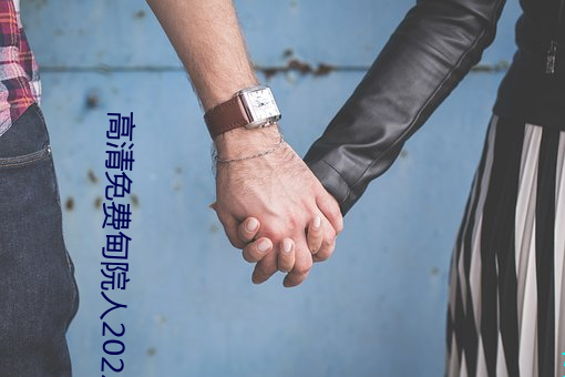 高清免費甸院人2022入口