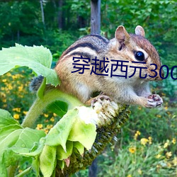 穿越西元3000后 （弃其馀鱼）