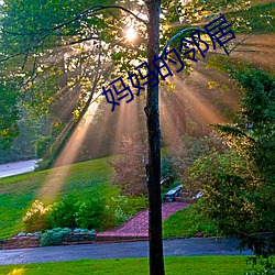 妈妈的邻居(居)