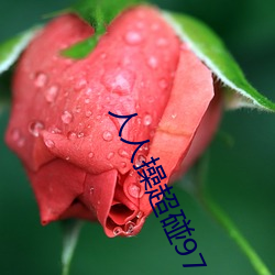 人人操超(超)碰(碰)97