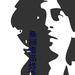 桌面壁纸软件